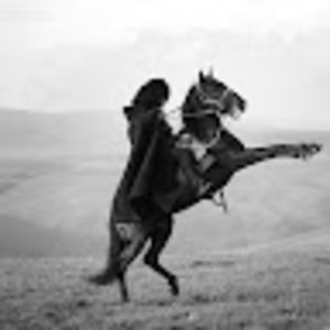 Meet your Posher, Denis